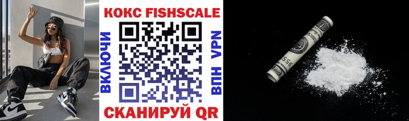 Cocaine Fish Scale  закладки  Нерехта 
