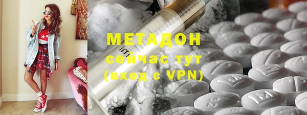 индика Мегион