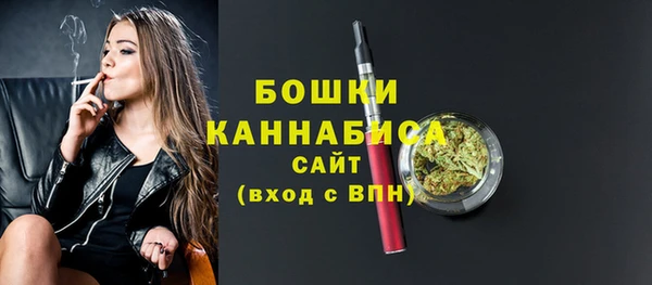 индика Мегион