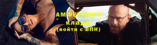 индика Мегион