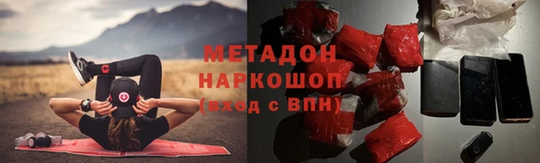 индика Мегион