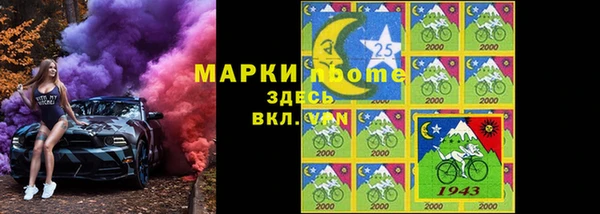 индика Мегион